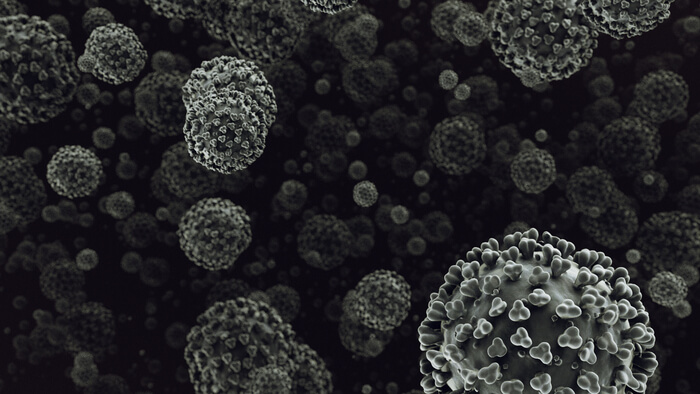 covid-19-coronaviruses-delta-lambda-plus-variant-2024-12-02-13-33-12-utc (1) (1)