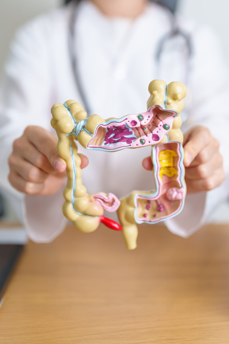 doctor-with-human-colon-anatomy-model-colonic-dis-2025-03-05-09-49-43-utc (1) (1)